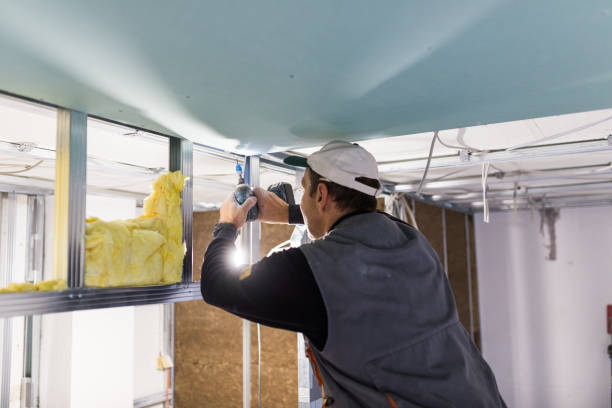 Best Cellulose Insulation in St Cloud, MN