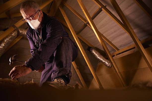 Best Insulation for Specific Applications in St Cloud, MN
